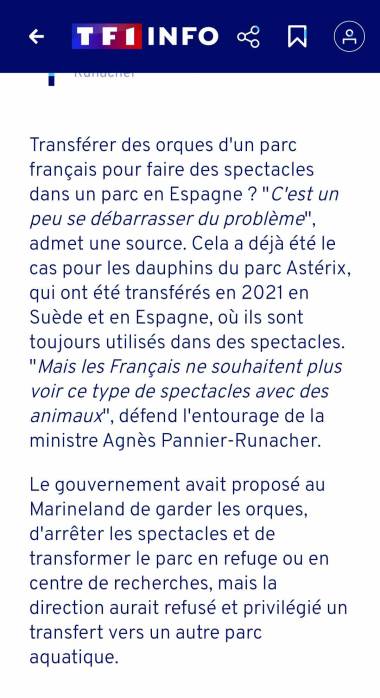 241126_transferts3_original