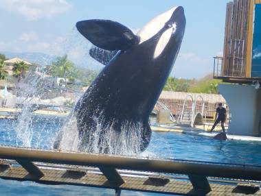 250409_marineland3_original