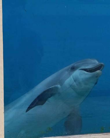 250411_marineland2_original