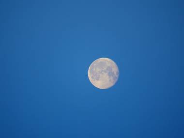 260306_luna2_original